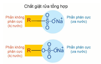 Phần kị nước của chất giặt rửa tổng hợp là gì (chi tiết nhất)