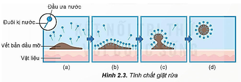 Phần kị nước trong xà phòng là gì (chi tiết nhất) (ảnh 2)