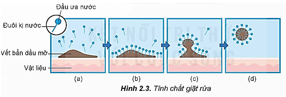 Phần phân cực trong xà phòng là gì (chi tiết nhất) (ảnh 2)