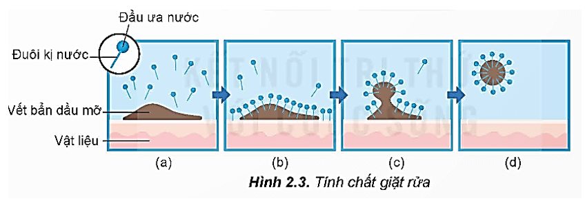 Phần ưa nước trong chất giặt rửa tổng hợp là gì (chi tiết nhất)