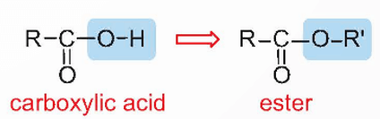 Phản ứng ester hóa là gì? (ảnh 3)