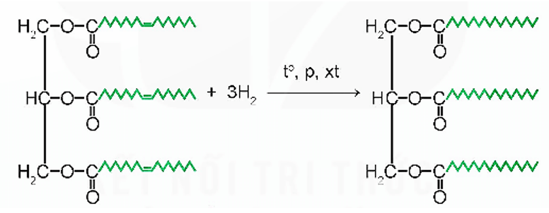 Phản ứng hydrogen hóa chất béo là gì (chi tiết nhất) (ảnh 1)