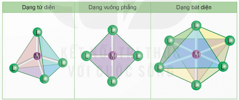 Phối tử trong phức chất là gì (chi tiết nhất)