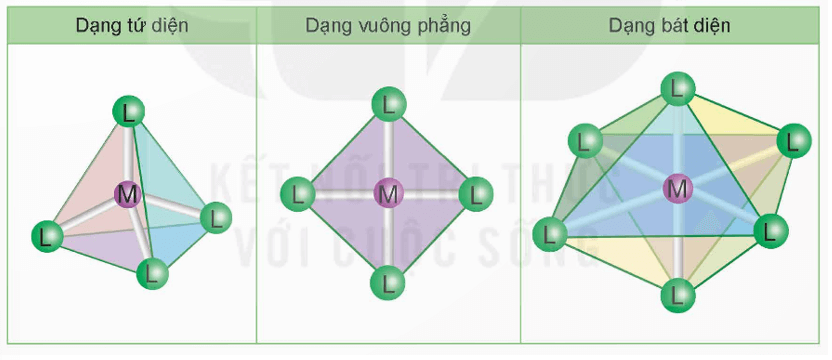 Phức chất là gì (chi tiết nhất)