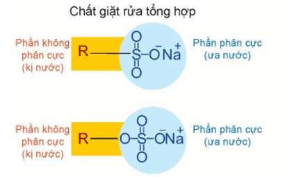 Phương pháp sản xuất chất giặt rửa tổng hợp là gì (chi tiết nhất)