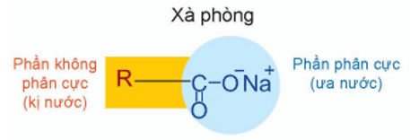Phương pháp sản xuất xà phòng là gì (chi tiết nhất) (ảnh 4)