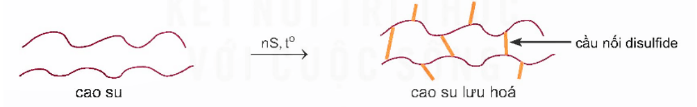 Polymer là gì (chi tiết nhất) (ảnh 4)