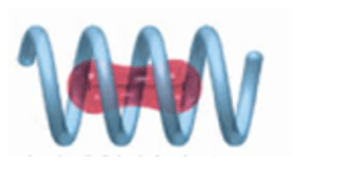Polysaccharide là gì (chi tiết nhất) (ảnh 4)