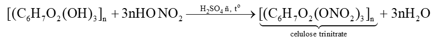 Polysaccharide là gì (chi tiết nhất) (ảnh 5)