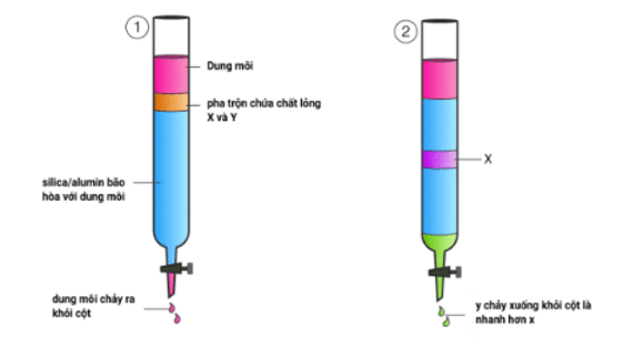 Sắc ký cột là gì (chi tiết nhất) (ảnh 2)