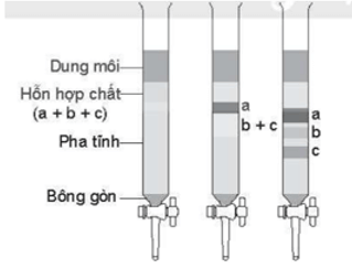 Sắc ký cột là gì (chi tiết nhất) (ảnh 3)