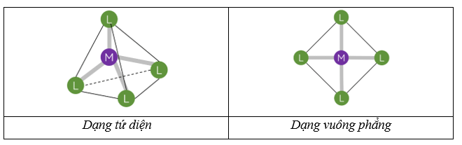 Số phối trí là gì (chi tiết nhất)