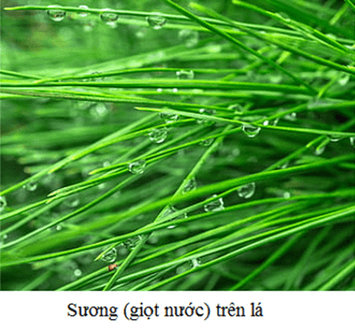 Sự ngưng tụ là gì (chi tiết nhất)