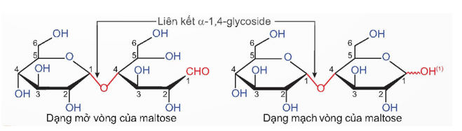 Thuốc thử Tollens là gì (chi tiết nhất)