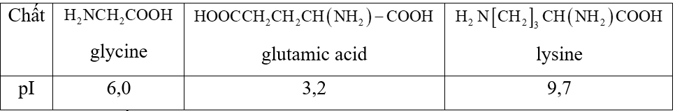 Tính chất điện di của amino acid là gì (chi tiết nhất) (ảnh 2)