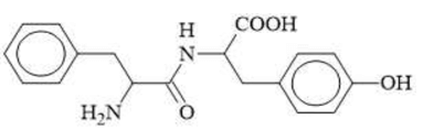 Tính chất điện di của amino acid là gì (chi tiết nhất) (ảnh 7)