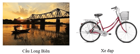 Vật không sống là gì (chi tiết nhất)