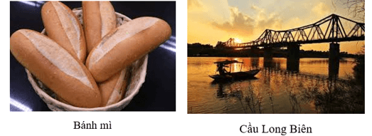 Vật sống là gì (chi tiết nhất)