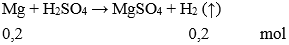 Trắc nghiệm Hóa 9 Bài 3 (có đáp án): Tính chất hóa học của axit | Bài tập Hóa học 9 có đáp án