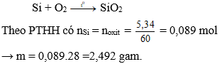 Trắc nghiệm Hóa 9 Bài 30 (có đáp án): Silic. Công nghiệp silicat | Bài tập Hóa học 9 có đáp án