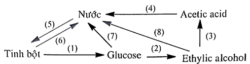 Chuyên đề bồi dưỡng HSG Hóa học 9 Carbohydrate (có lời giải) 