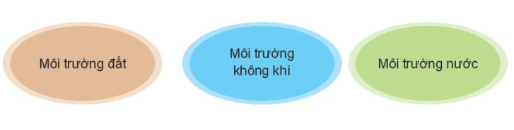 Khảo sát, đánh giá thực trạng môi trường tự nhiên ở địa phương