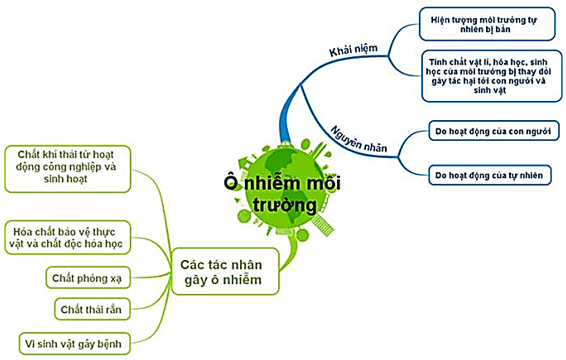 Hoạt động trải nghiệm lớp 4 Chân trời sáng tạo Tuần 23