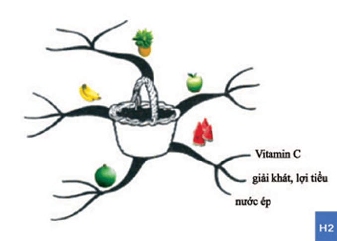 Hoạt động trải nghiệm lớp 4 Kết nối tri thức Tuần 6