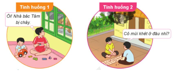 Hoạt động trải nghiệm lớp 5 Cánh diều Tuần 11 (trang 34, 35, 36)