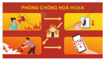 Hoạt động trải nghiệm lớp 5 Cánh diều Tuần 11 (trang 34, 35, 36)