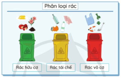 Hoạt động trải nghiệm lớp 5 Cánh diều Tuần 24 (trang 71, 72, 73)