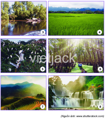 Cây Xanh Thiên Nhiên Cánh đồng Đất Bầu Trời Cảnh Quan Vector Hình ảnh |  Định dạng hình ảnh JPG,EPS 450049304| vn.lovepik.com
