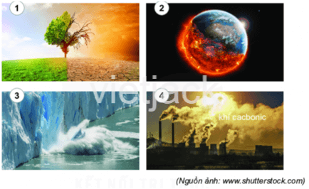 Bài 3: Ứng phó với biến đổi khí hậu