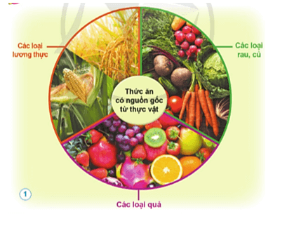 Khoa học lớp 4 Cánh diều Bài 23: Vai trò của thực vật trong chuỗi thức ăn