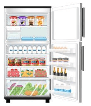 Trắc nghiệm Khoa học lớp 4 Cánh diều Bài 16 (có đáp án): Nấm men và nấm mốc (ảnh 4)