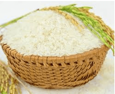 Trắc nghiệm Khoa học lớp 4 Cánh diều Bài 17 (có đáp án): Các chất dinh dưỡng cần thiết cho cơ thể (ảnh 2)