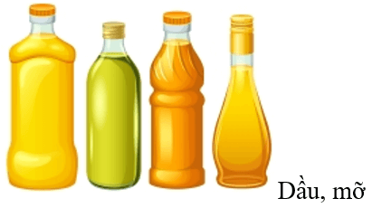 Trắc nghiệm Khoa học lớp 4 Cánh diều Bài 18 (có đáp án): Chế độ ăn uống (ảnh 9)