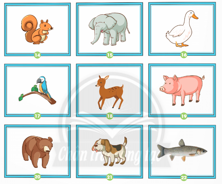 Khoa học lớp 4 Chân trời sáng tạo Bài 16: Nhu cầu sống của động vật (ảnh 4)