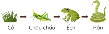 Trắc nghiệm Khoa học lớp 4 Chân trời sáng tạo Bài 30 (có đáp án): Chuỗi thức ăn trong tự nhiên