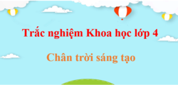 500 Câu hỏi trắc nghiệm Khoa học lớp 4 Chân trời sáng tạo (có đáp án) | Trắc nghiệm Khoa học lớp 4