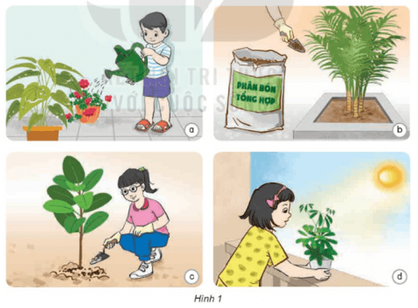 Khoa học lớp 4 Kết nối tri thức Bài 17: Chăm sóc cây trồng, vật nuôi