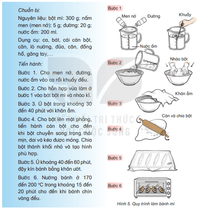 Khoa học lớp 4 Kết nối tri thức Bài 20: Nấm ăn và nấm trong chế biến thực phẩm