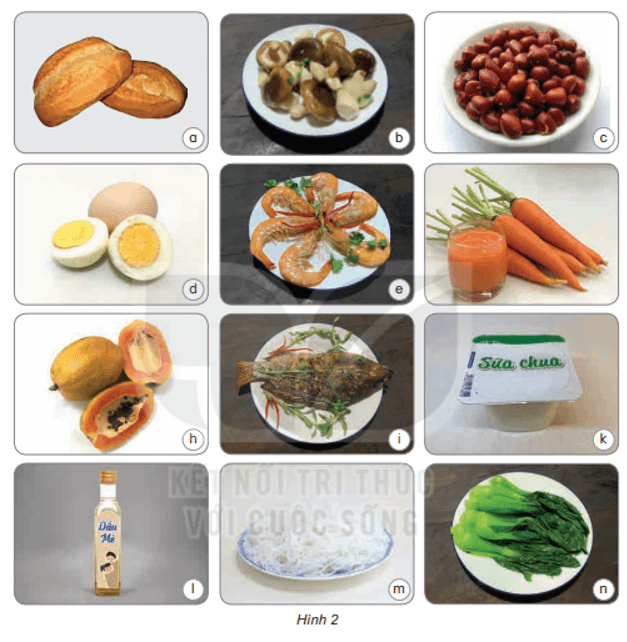 Khoa học lớp 4 Kết nối tri thức Bài 23: Vai trò của chất dinh dưỡng với cơ thể