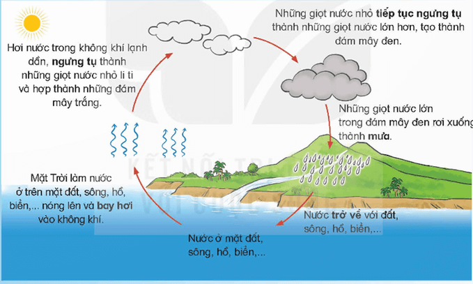 Trắc nghiệm Khoa học lớp 4 Kết nối tri thức Bài 2 (có đáp án): Sự chuyển thể của nước và vòng tuần hoàn của nước trong tự nhiên