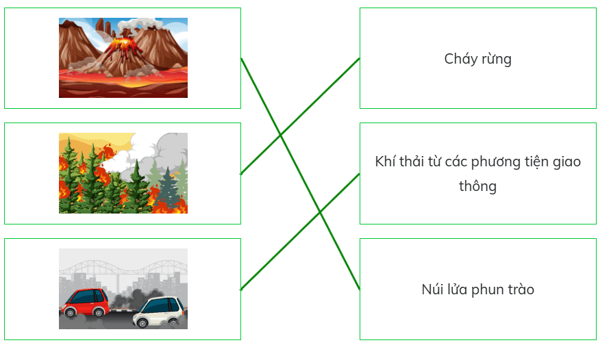 (Kết nối tri thức) Trắc nghiệm Khoa học lớp 4 Bài 5 (có đáp án): Vai trò của không khí và bảo vệ bầu không khí trong lành