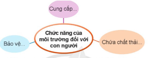 Khoa học lớp 5 Cánh diều Bài 19: Chức năng của môi trường đối với sinh vật