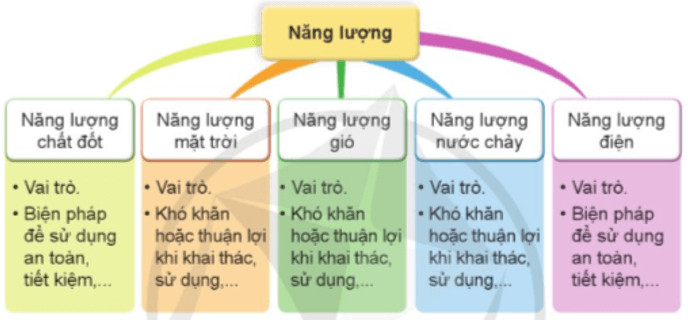 Khoa học lớp 5 trang 38 Cánh diều