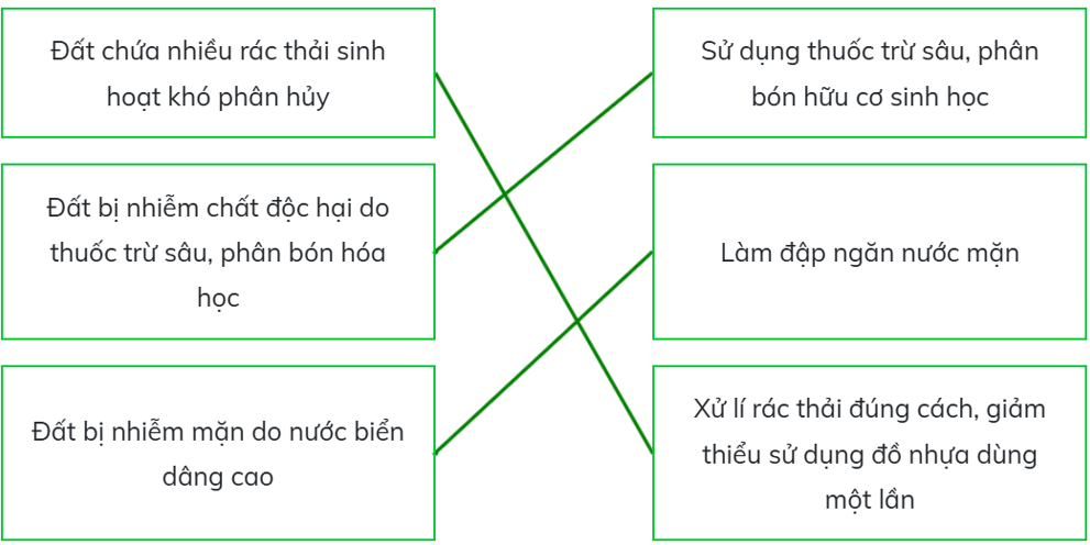 Trắc nghiệm Khoa học lớp 5 Cánh diều Bài 1 (có đáp án): Đất và bảo vệ môi trường đất (ảnh 6)