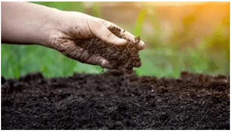 Trắc nghiệm Khoa học lớp 5 Cánh diều Bài 1 (có đáp án): Đất và bảo vệ môi trường đất (ảnh 8)