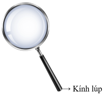Trắc nghiệm Khoa học lớp 5 Cánh diều Bài 12 (có đáp án): Vi khuẩn và vi khuẩn gây bệnh ở người (ảnh 15)